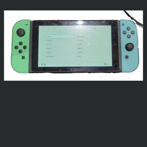 Rare Nintendo Switch Animal Crossing: New Horizon Special Edition